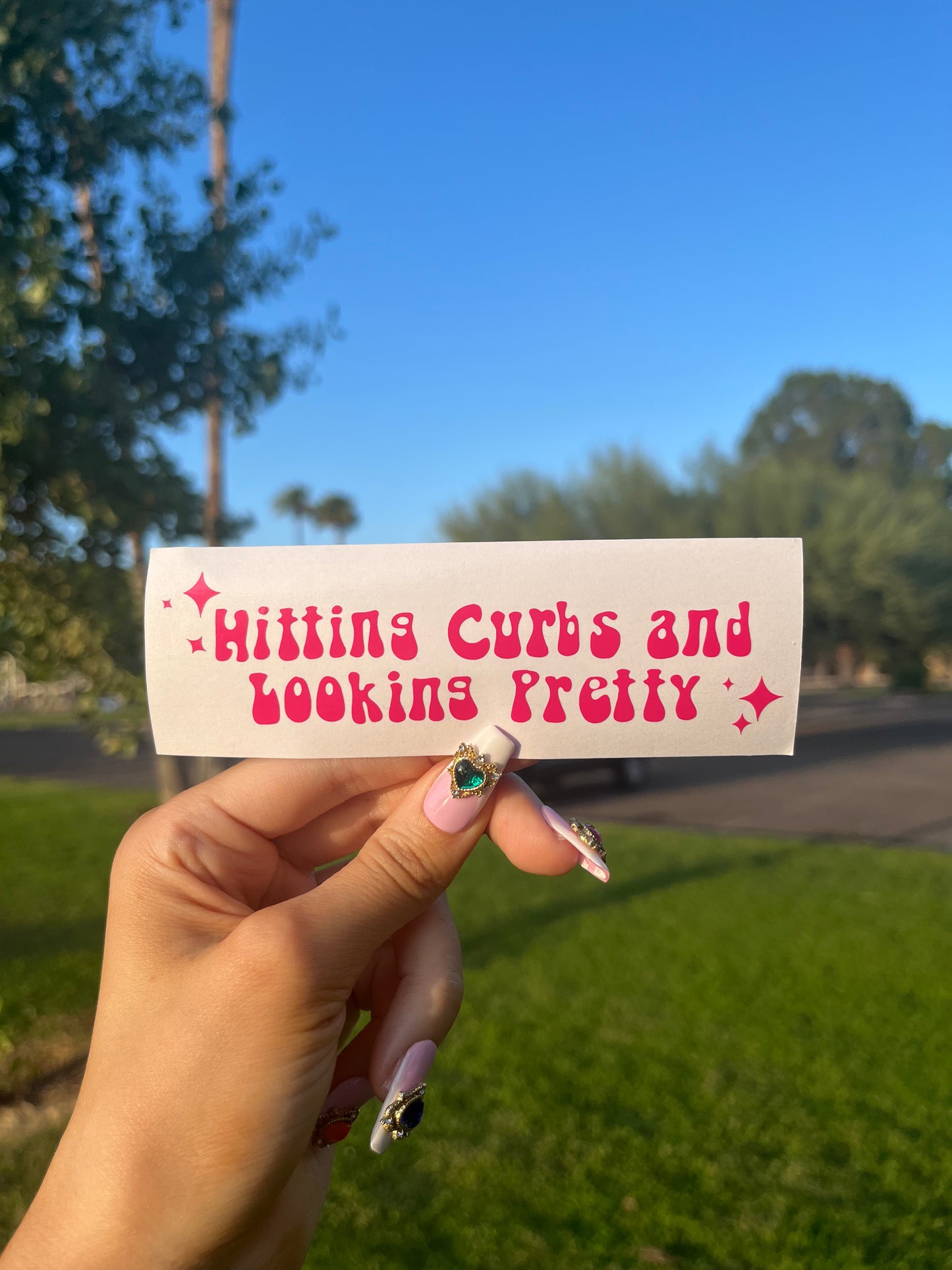 Hitting Curbs and Looking Pretty Vinyl Decal