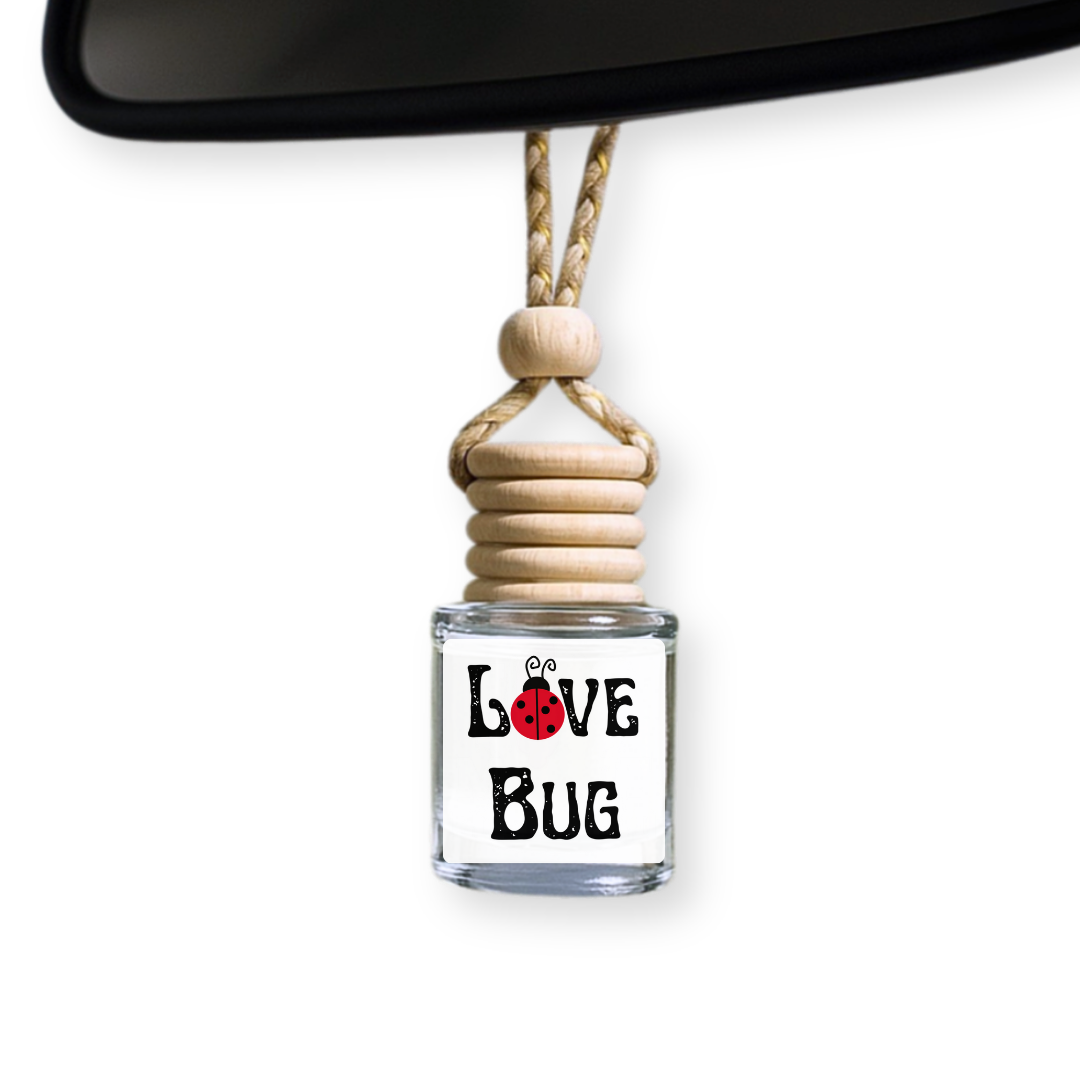 Love Bug Car DIffuser