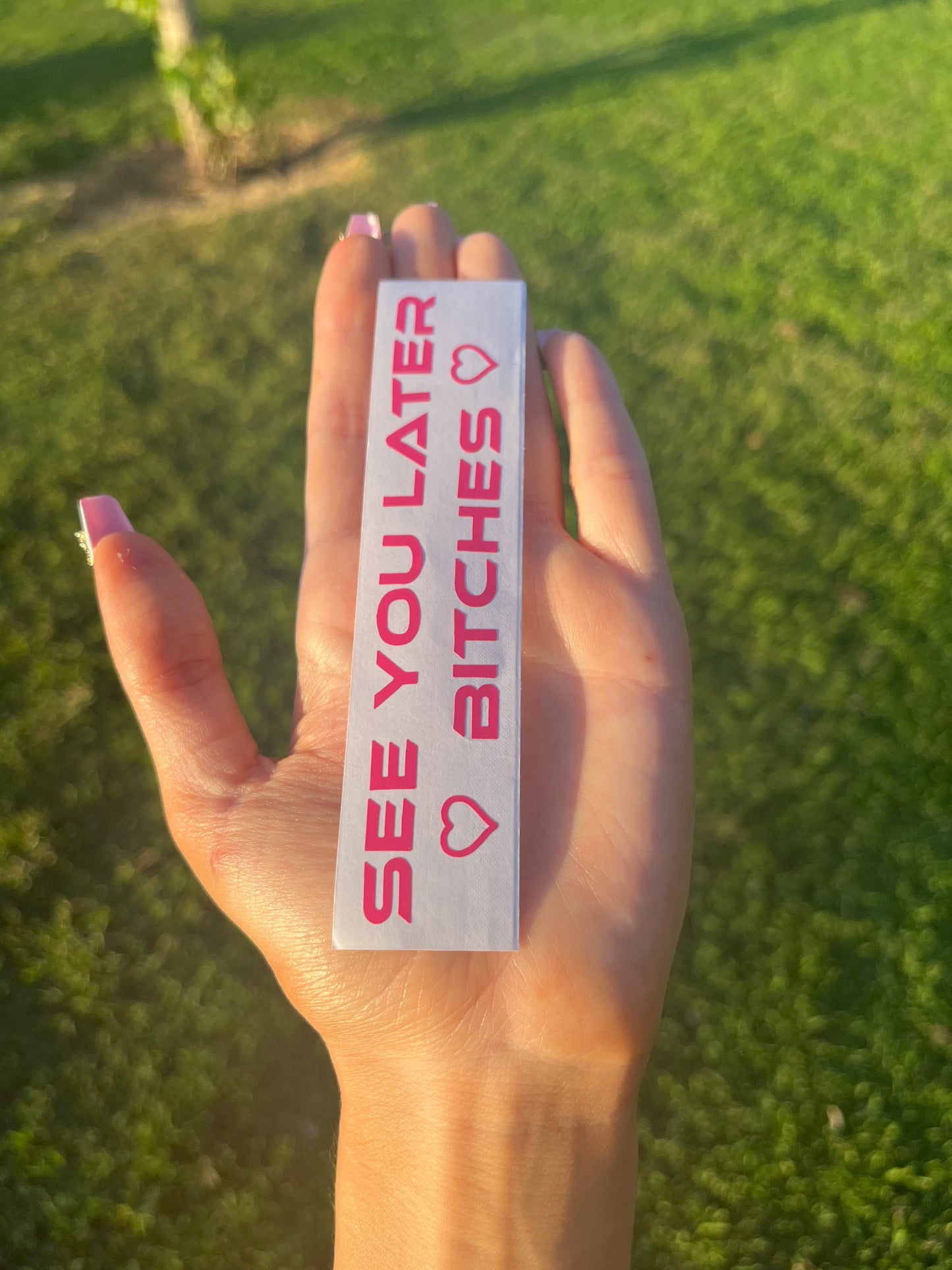 See You Later Bitches Vinyl Decal