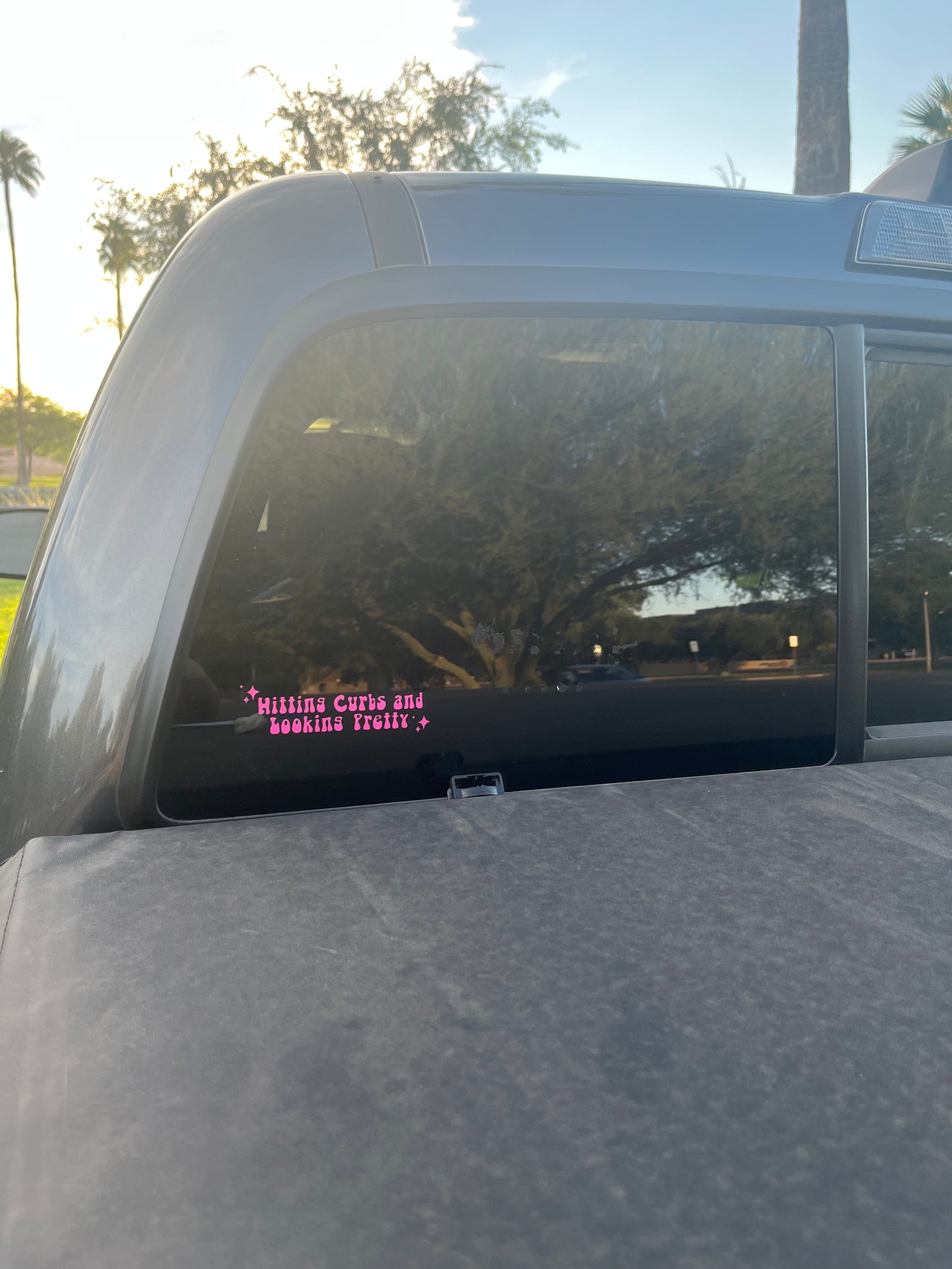 Hitting Curbs and Looking Pretty Vinyl Decal