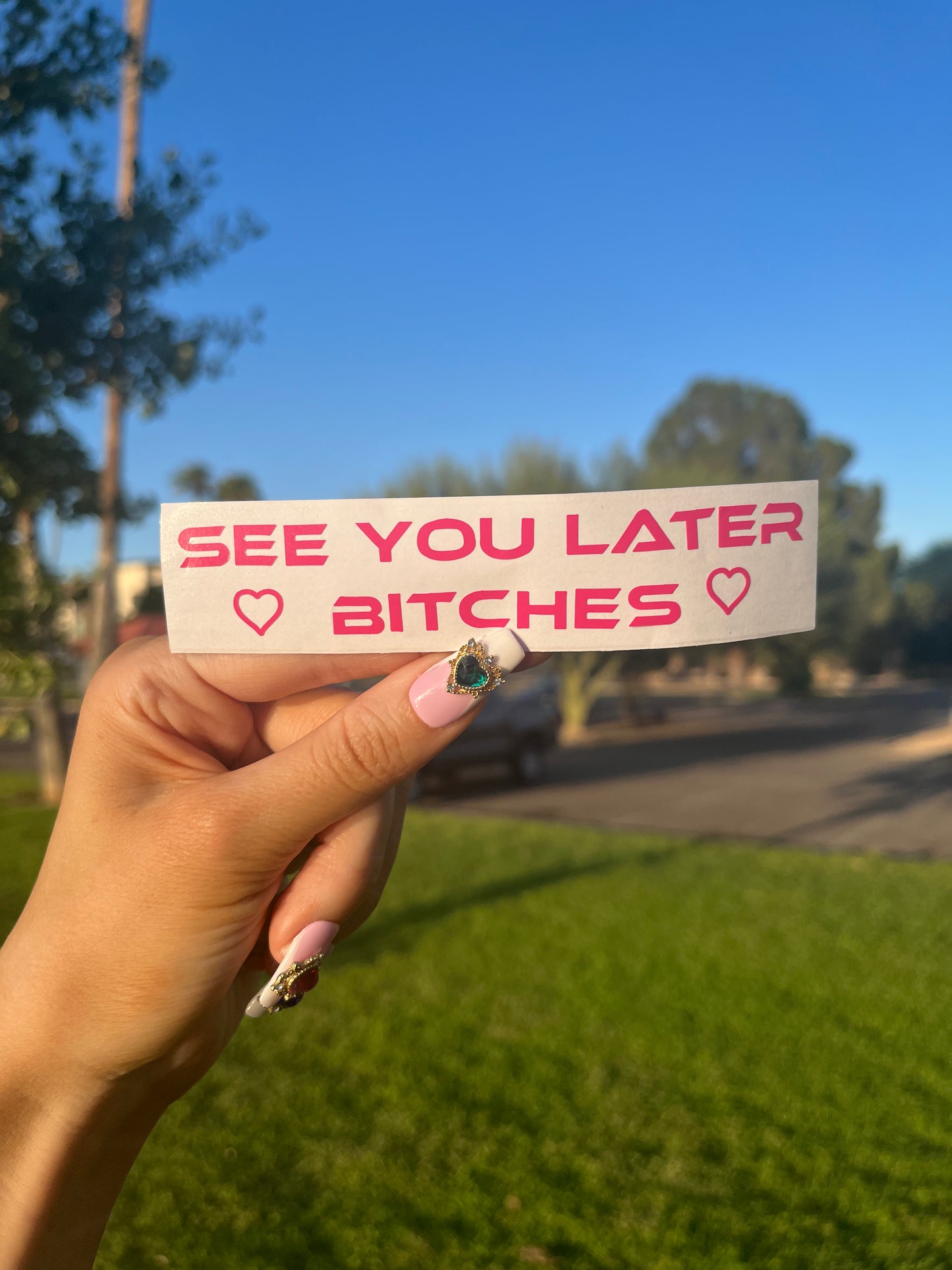 See You Later Bitches Vinyl Decal